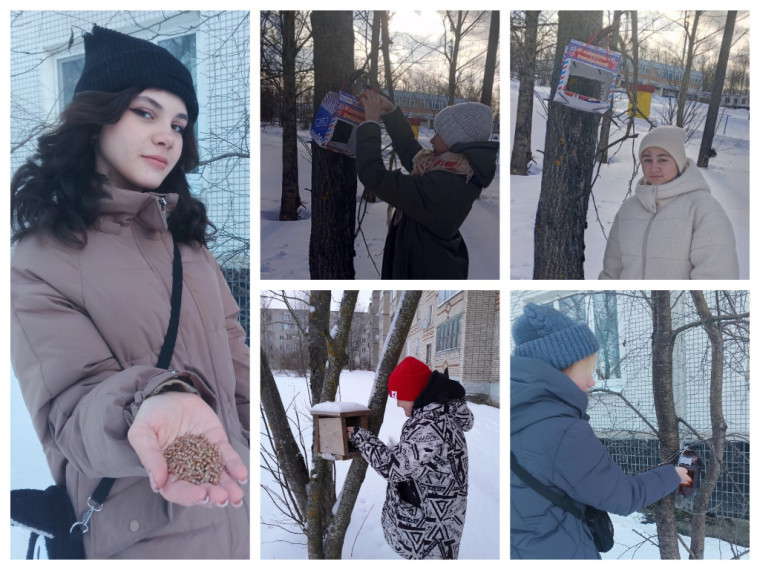 Всероссийская акция_Покормите птиц зимой.