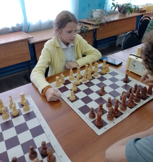 Игра в шахматы и шашки - это спорт, творчество, интеллектуальный ринг или хобби?.