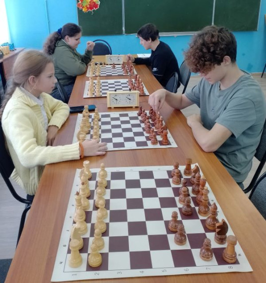 Игра в шахматы и шашки - это спорт, творчество, интеллектуальный ринг или хобби?.